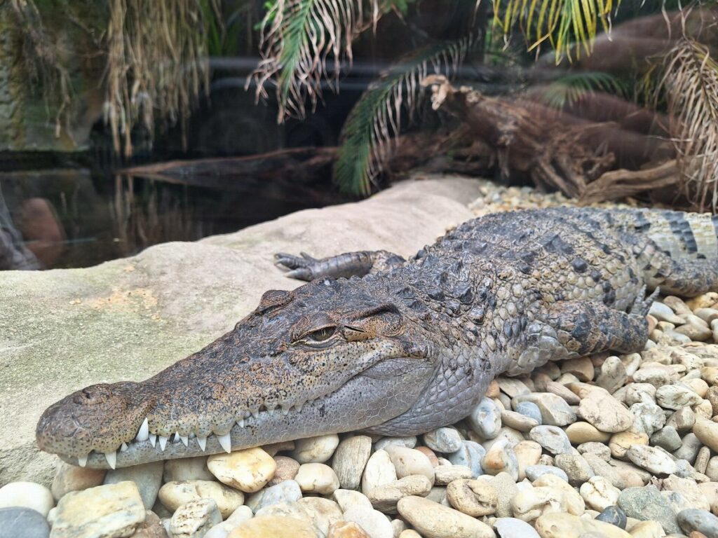 Zoo Plzeň